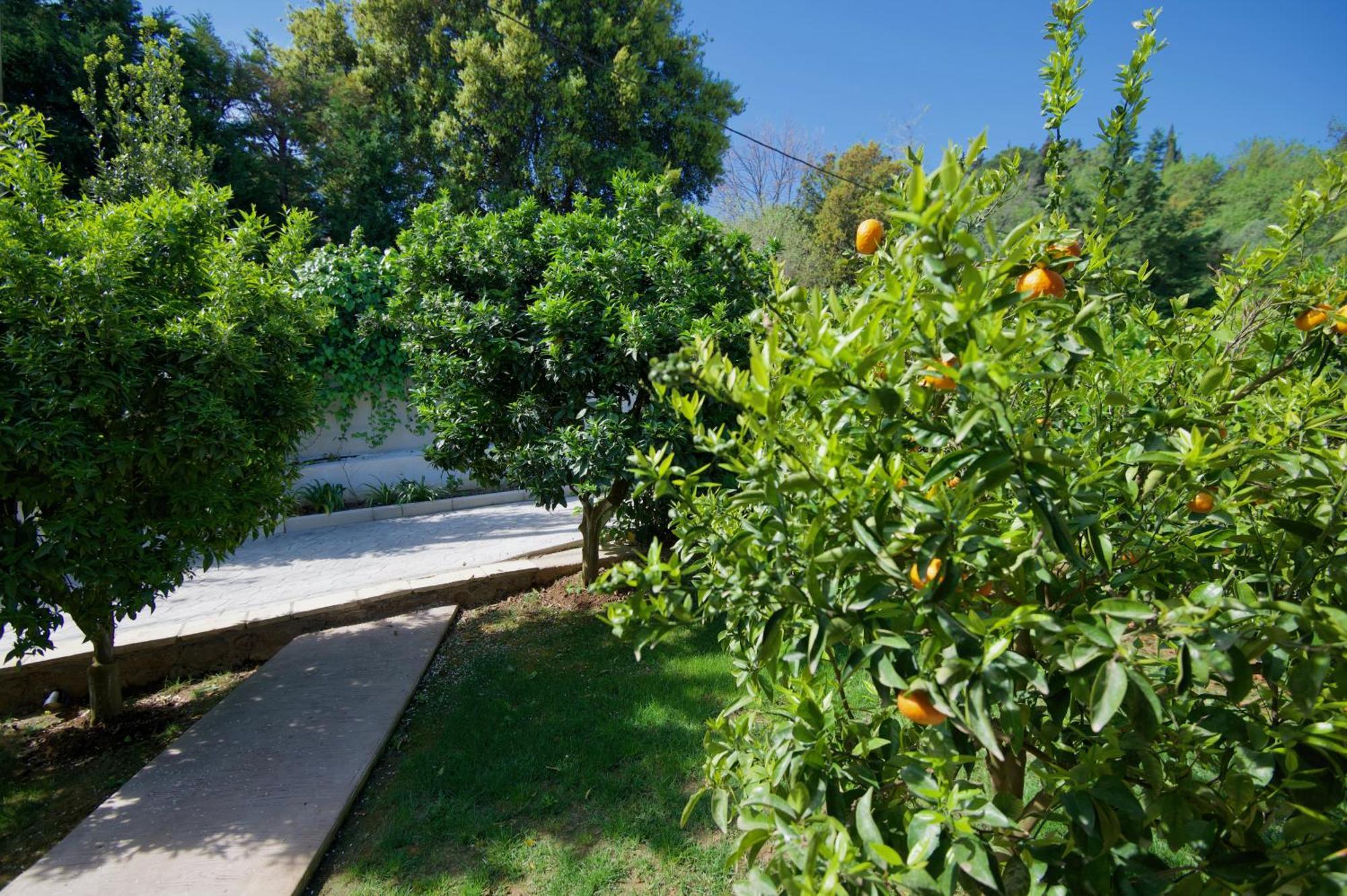 Villa Natilia Gazatika ภายนอก รูปภาพ